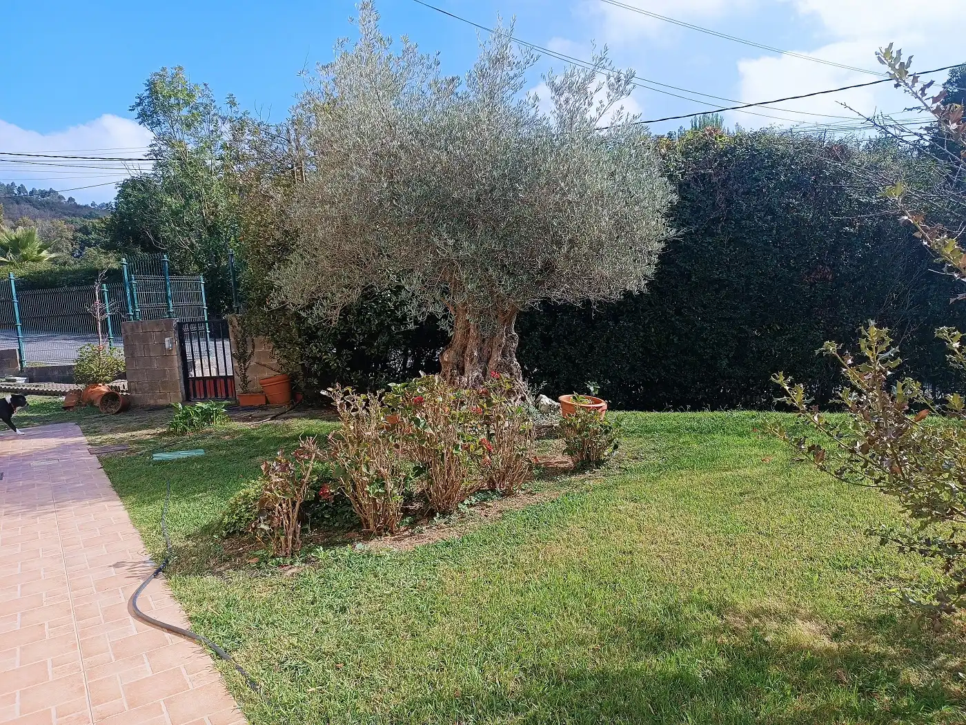 Garden of Houses for sale in Urduliz  with Heating, Private garden and Terrace