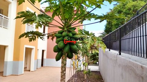 Foto 5 de Apartamento de alquiler en Callao Salvaje - Playa Paraíso, Adeje