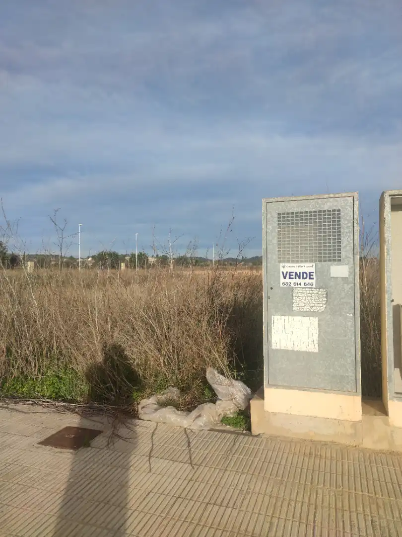 Terreno industrial en venta en Catadau