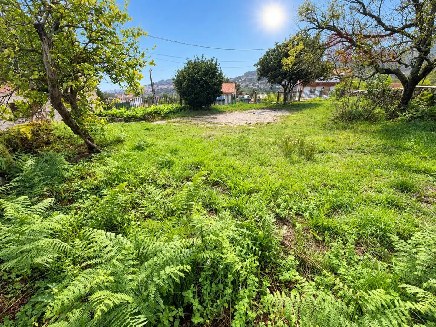 Terrain rustique à vendre à Coiro, imagen 3