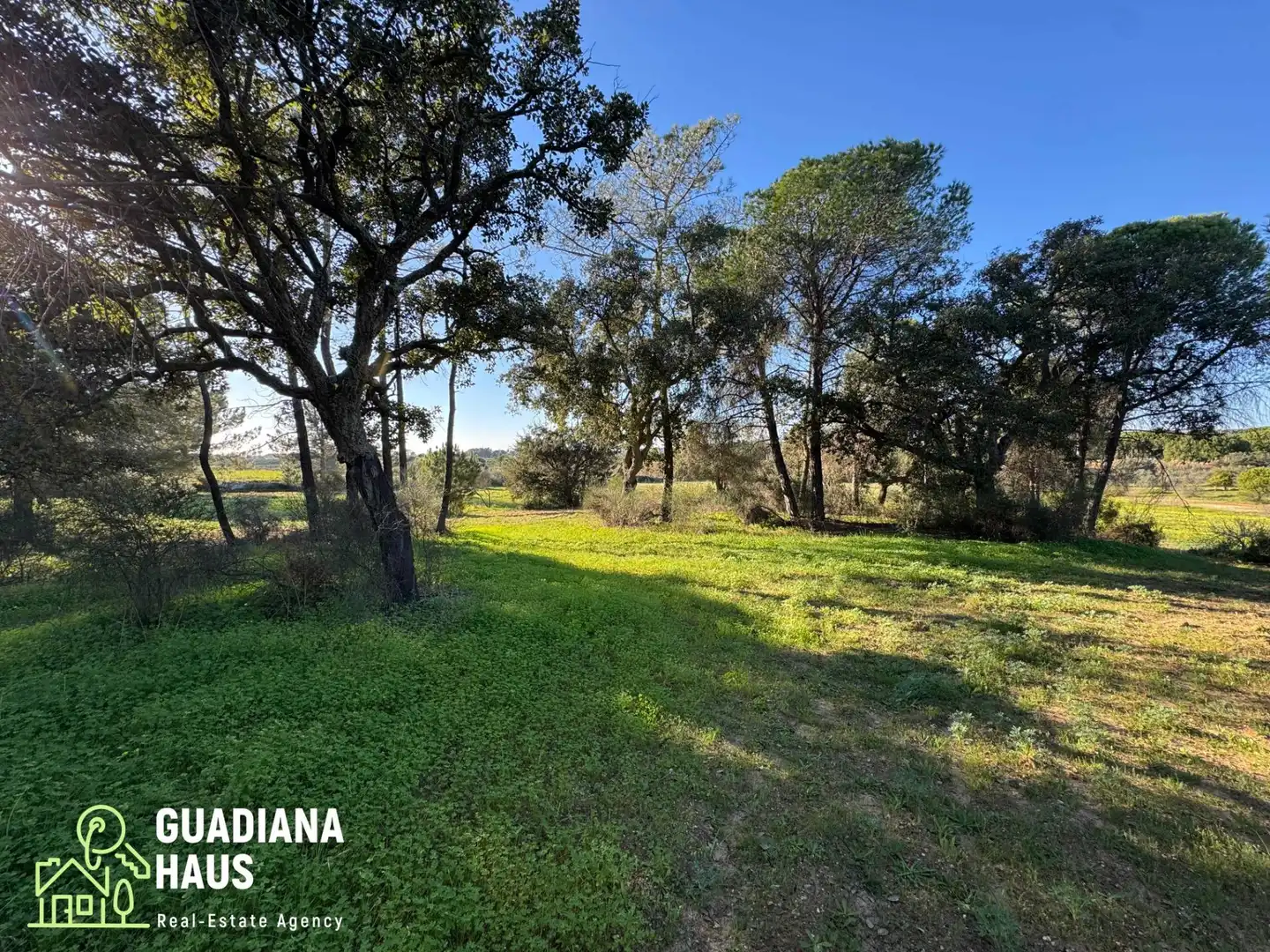 Finca rústica en venda en Villablanca
