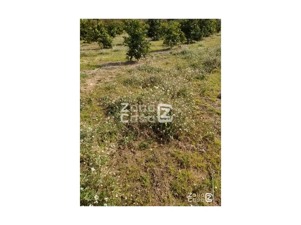 Country house for sale in Algemesí, imagen 6