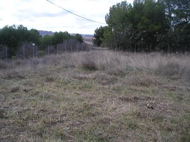 Terreni e lotti in vendita a Barrio Marivella 144