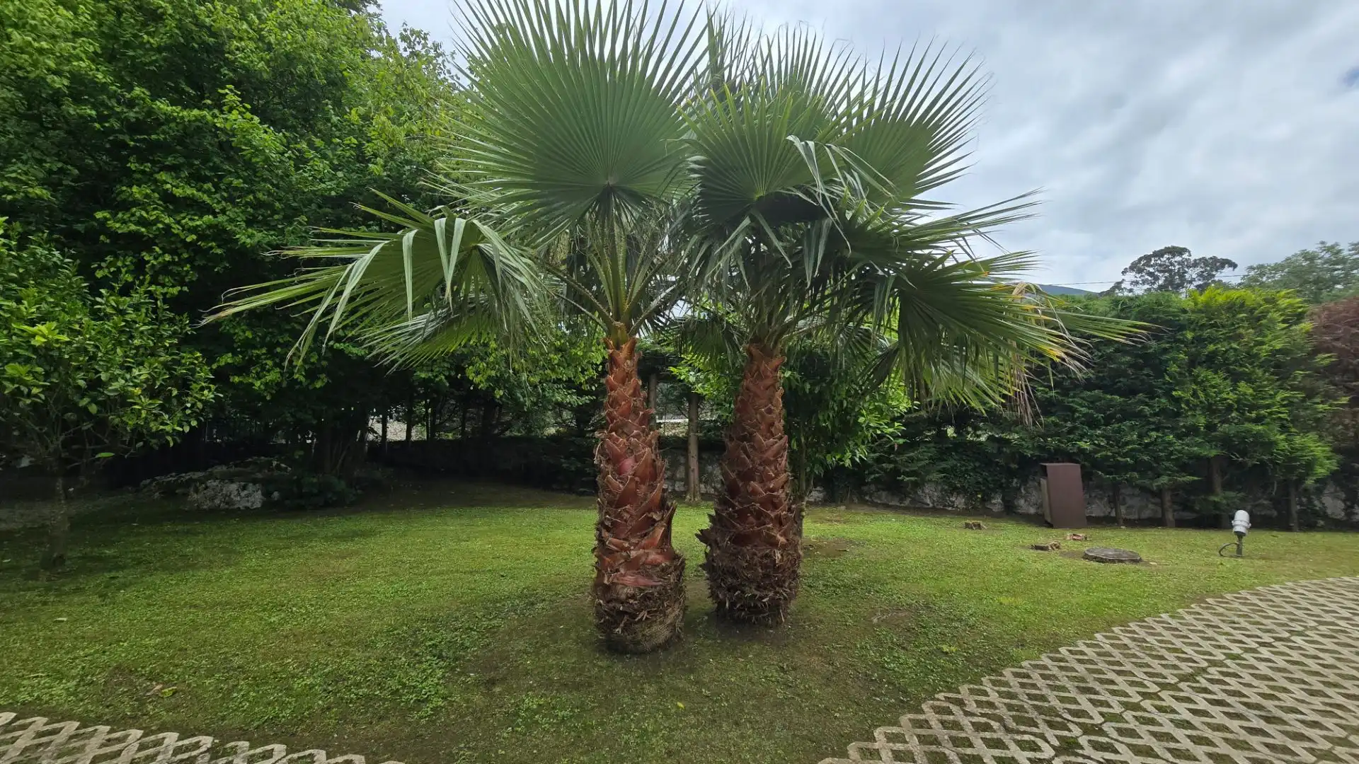 Jardí de Casa o xalet en venda en Llanes amb Calefacció, Jardí privat i Piscina
