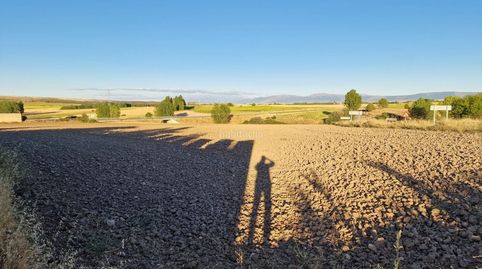 Finca urbana, immagine 4