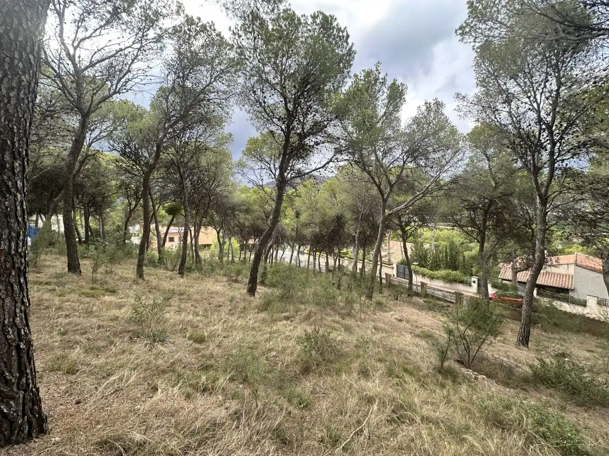 Wohnbaugrundstück zum Verkauf in Torres Torres, imagen 41