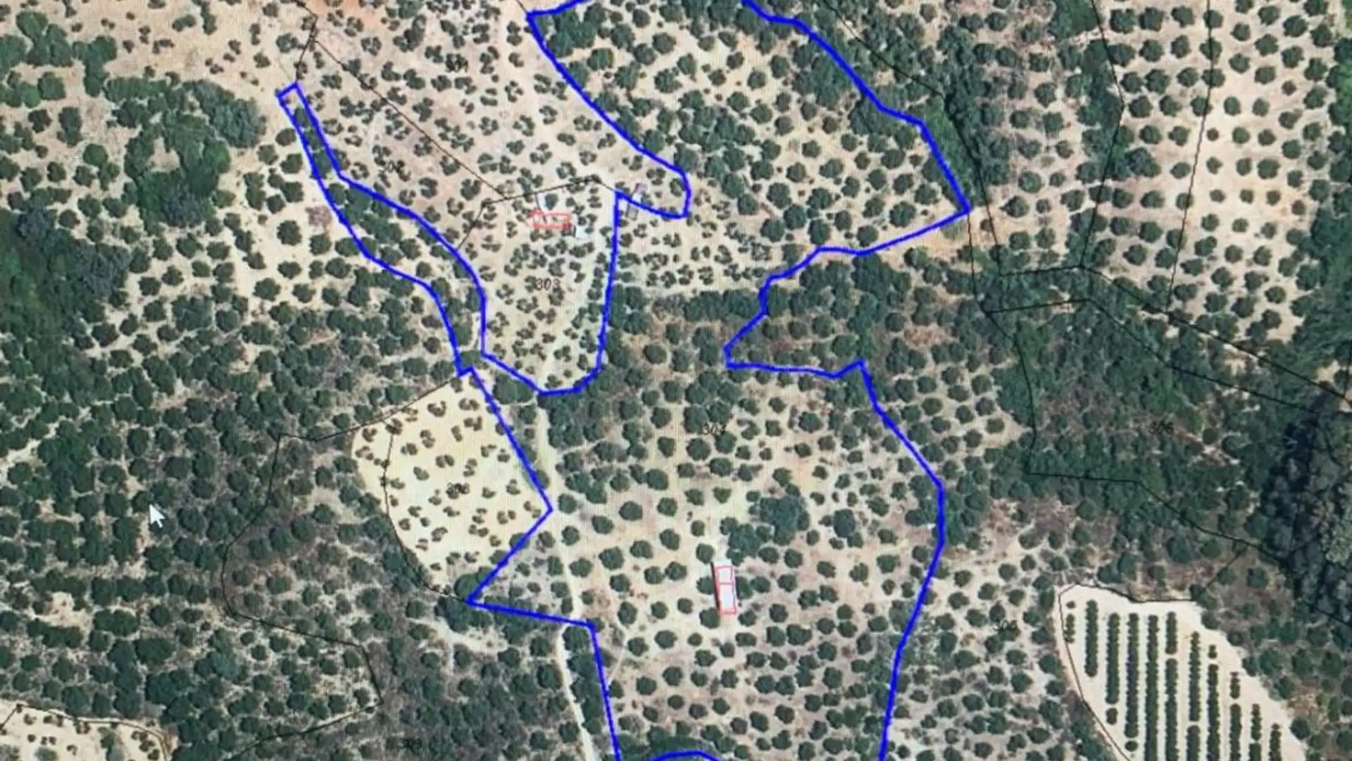 Land for sale in Alcolea del Río