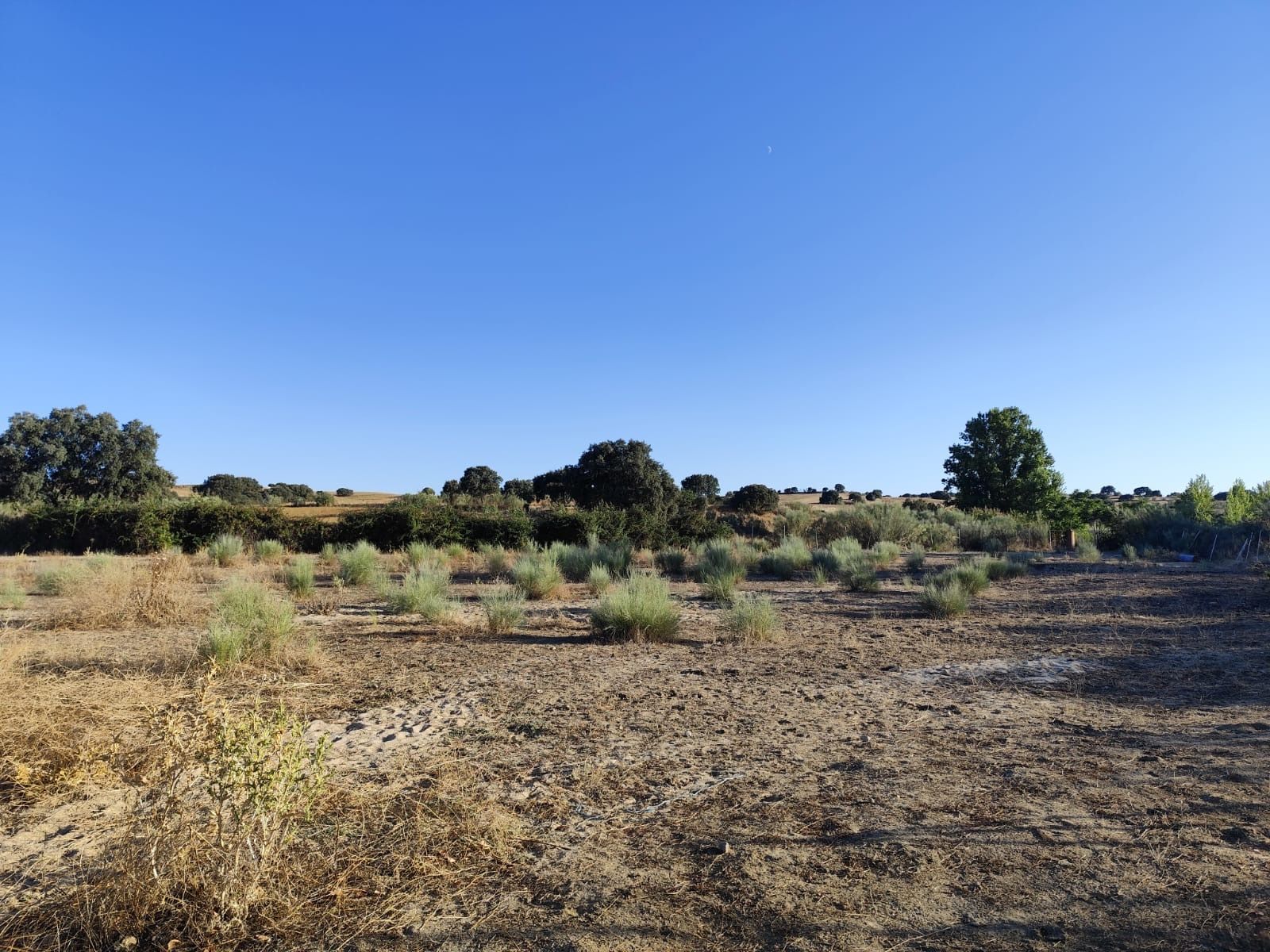 Land for sale in Brunete