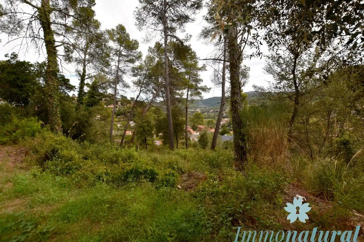 Terreno residencial en venta en Calle Rafael Casanova 10, imagen 6