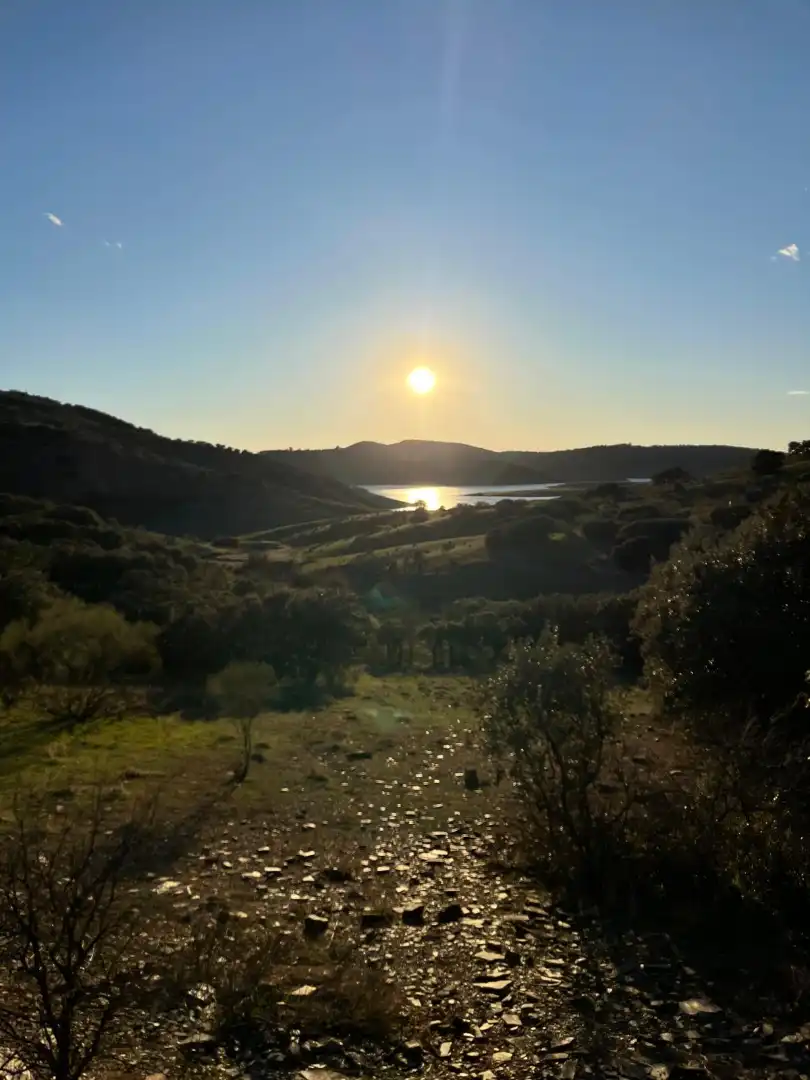 Terreno en venta en Vilches