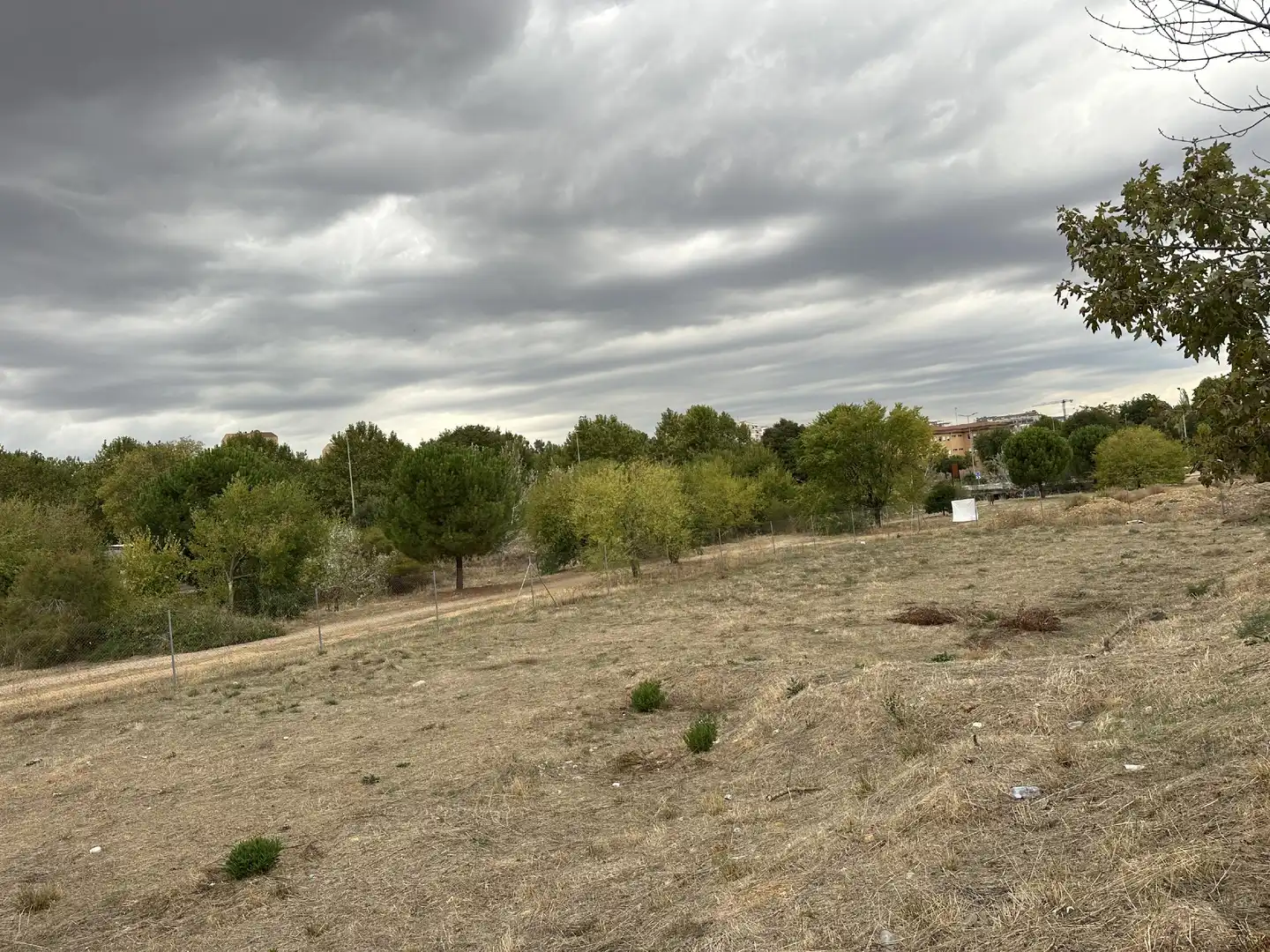 Terreni e lotti in vendita a Nuevo Cáceres, imagen 3