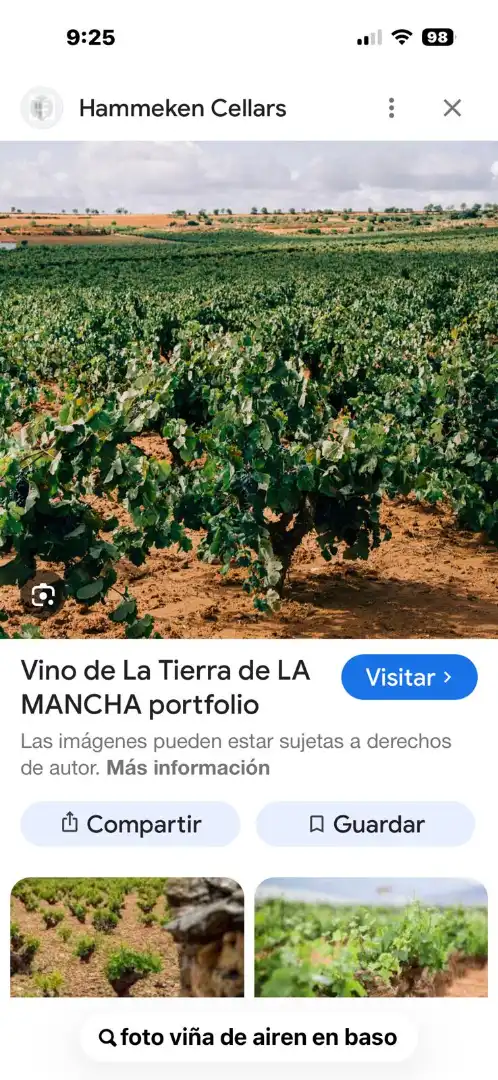 Terreno rustico in vendita a Camino de Tomelloso a Villarrobledo 26