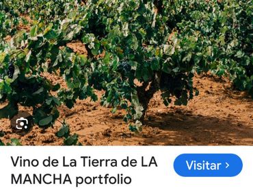 Terreny rústic en venda a Camino de Tomelloso a Villarrobledo 26