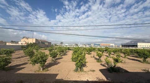 Foto 3 de Casa o chalet en venta en Montepinar - La Aparecida - Raiguero, Orihuela