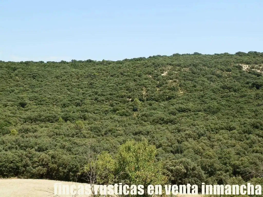 Rustikales Grundstück zum Verkauf in Alcocer, imagen 21