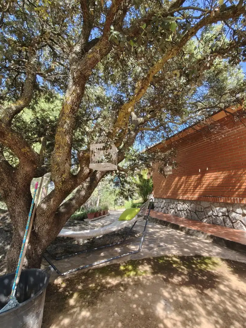 Chalet en venta en CERRO PALOS poligono 45 parcela 63, imagen 14