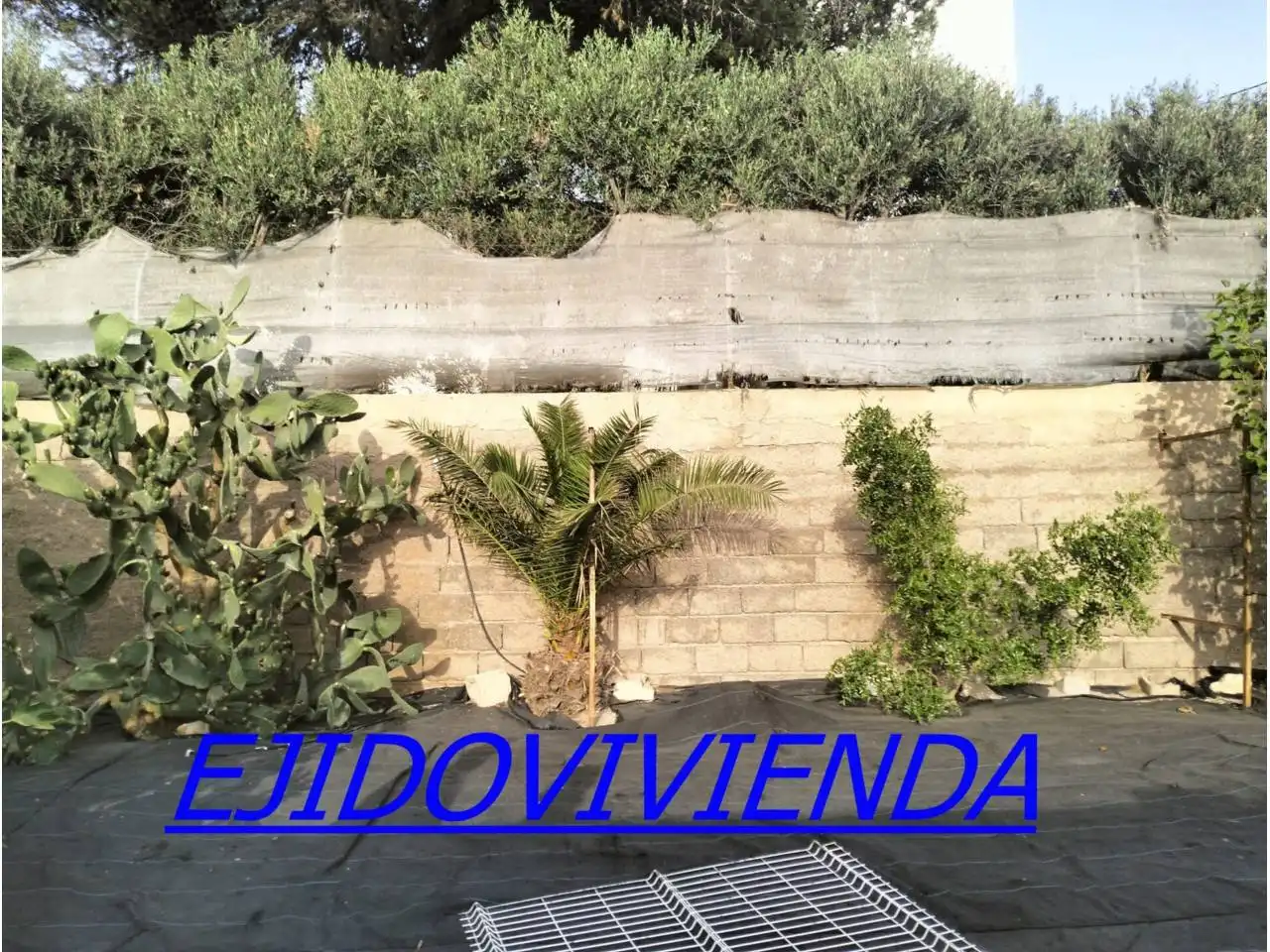 Casa o chalet en venta en El Ejido con Jardín privado y Terraza