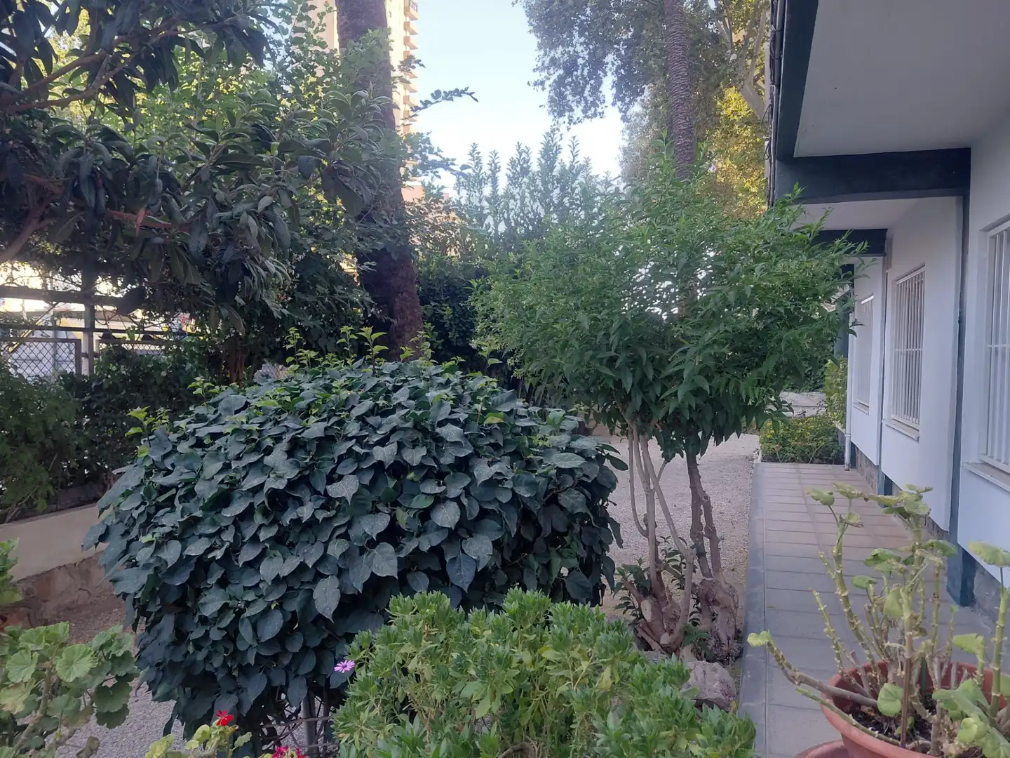 Wohnung mit Aufzug zum Verkauf in Avenida de Cuenca, imagen 17