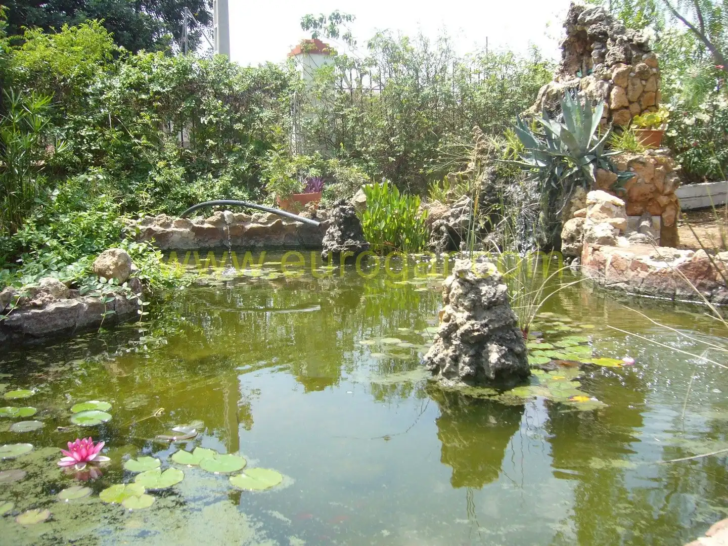 Jardí de Casa o xalet en venda en Chiva amb Jardí privat, Terrassa i Traster