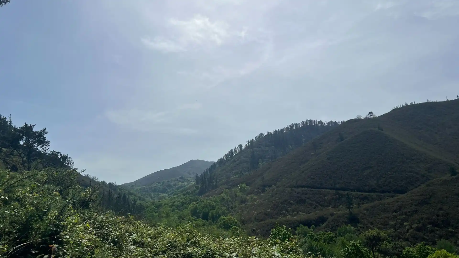 Vista exterior de Casa o xalet en venda en Cangas de Onís amb Jardí privat