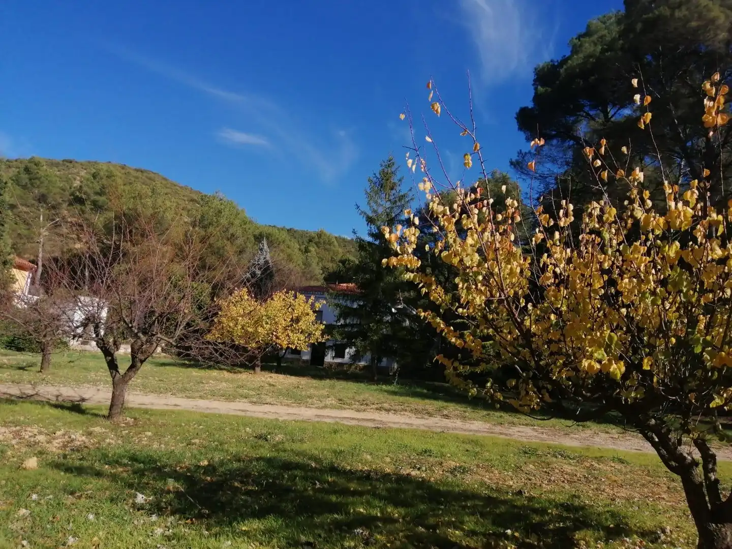 Villa mit Terrasse zum Verkauf in Buñol, imagen 12