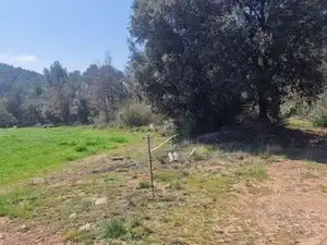 Country homes for sale in Santa Maria d'Oló