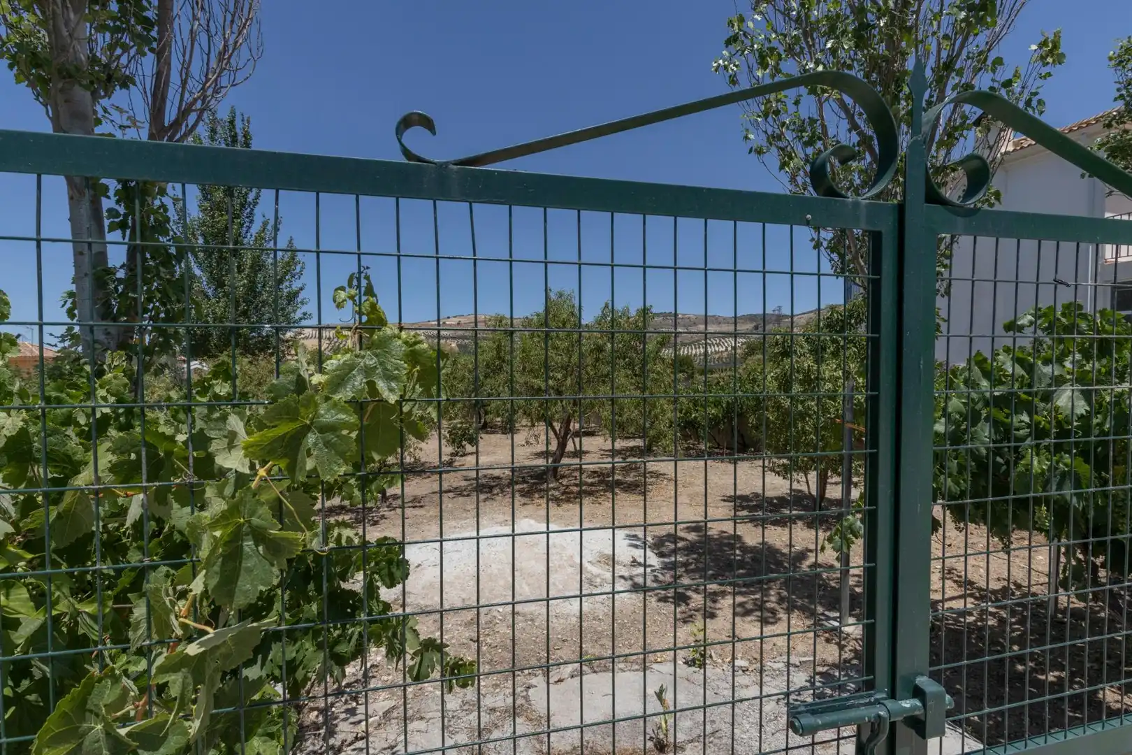 Garten von Residential zum Verkauf in Santa Cruz del Comercio