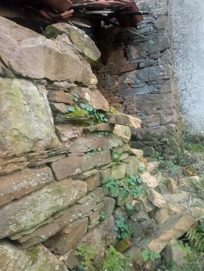 Jardí de Finca rústica en venda en Cudillero amb Jardí privat