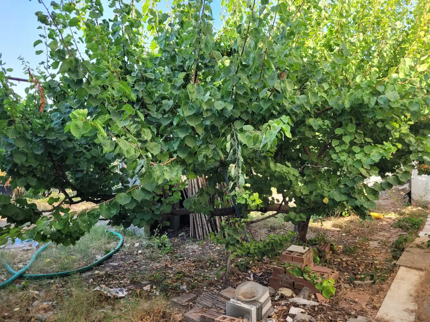 Terrenos y solares en venta en de Codis, imagen 9