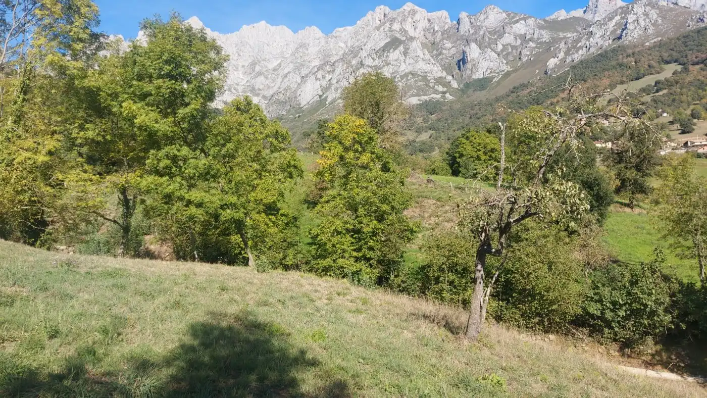 Terreno en venta en Camaleño