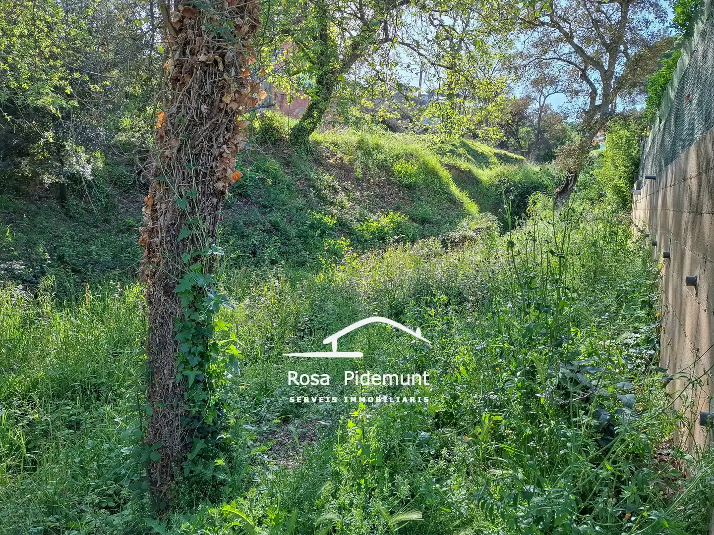 Residential land for sale in Avinguda Arbres, imagen 9