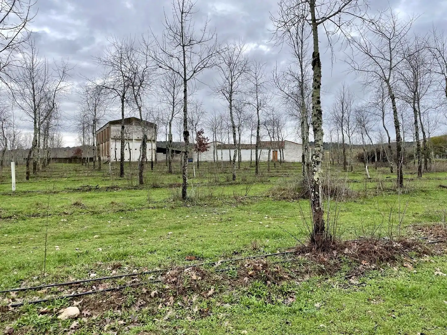 Terreni e lotti in vendita a Oliva de Plasencia