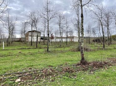 Rural land for sale in Oliva de Plasencia