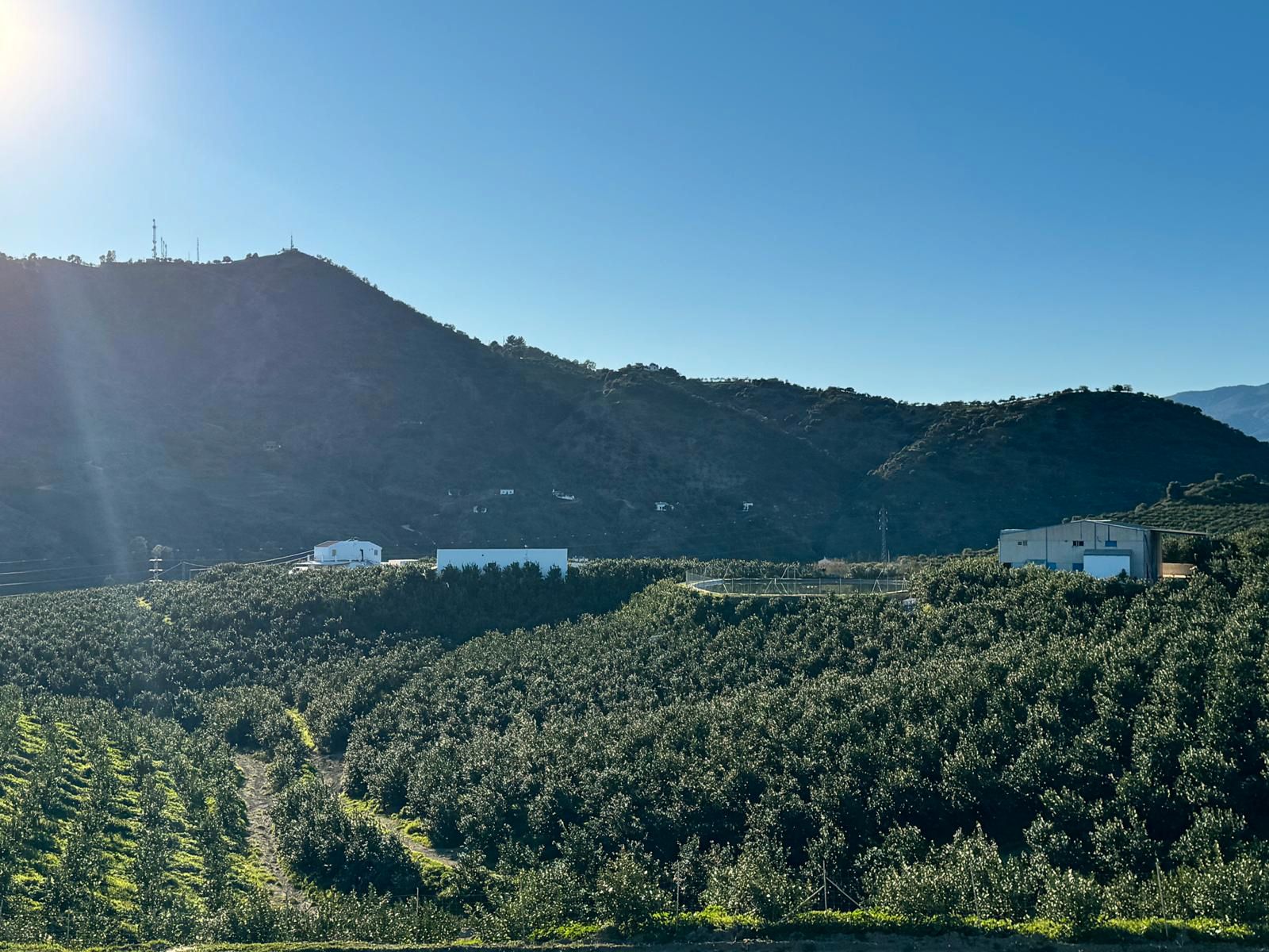 Exterior view of Country house for sale in Pizarra