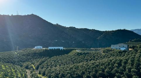 Foto 3 de Finca rústica en venda a Calle Virgen de la Cabeza, Pizarra, Málaga