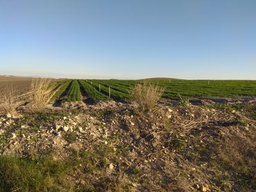 Terreno rustico in vendita a Carretera del Marquesado