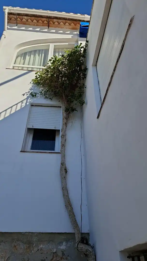 Casa con jardín en venta en Monte los Almendros - El Pargo - Costa Aguilera, imagen 84