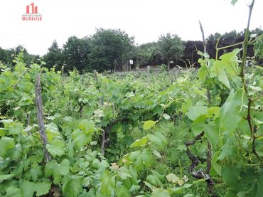 Terreni e lotti in vendita a O Pereiro de Aguiar