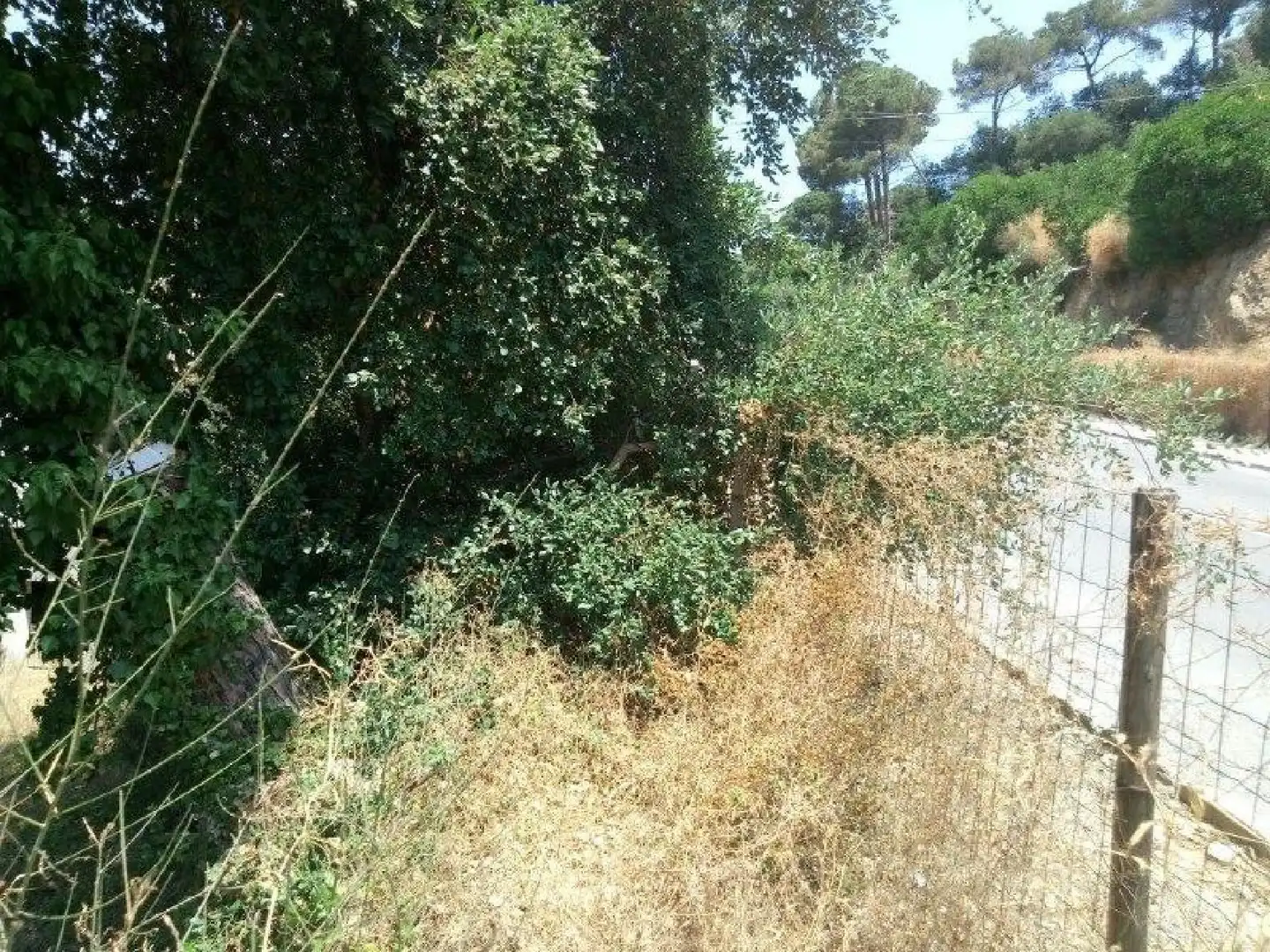 Terrenys i solars en venda a Can Massuet del Far, imagen 13