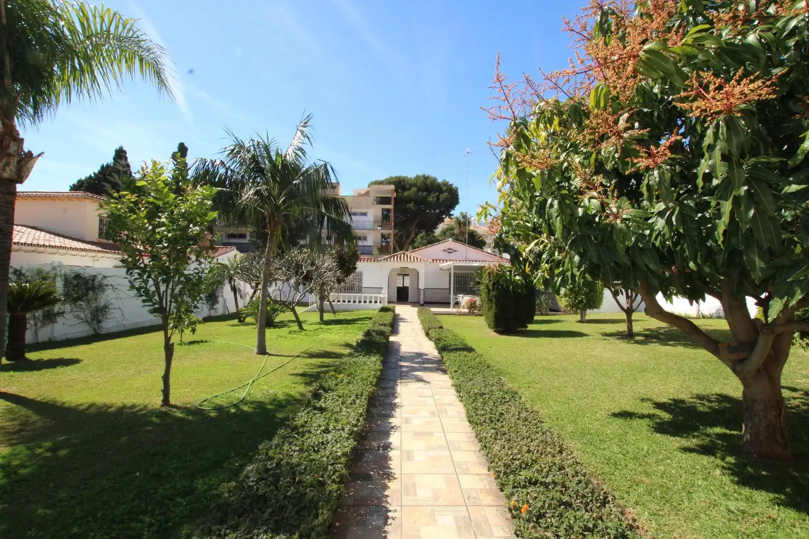 Villa con terrazza in vendita a Puerto Marina, imagen 4
