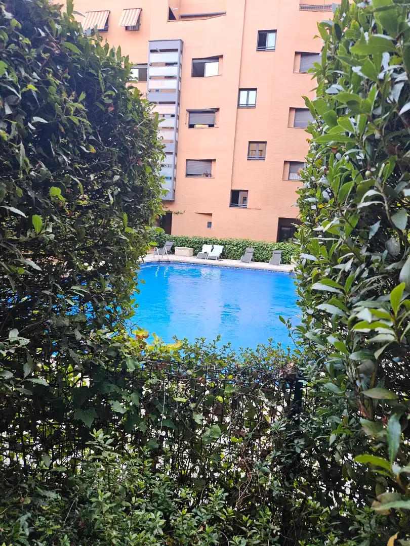 Apartamento con piscina en alquiler en Calle de la Antracita, imagen 18