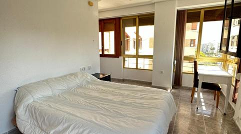 Photo 5 of Apartment for share in Babel, Alicante / Alacant