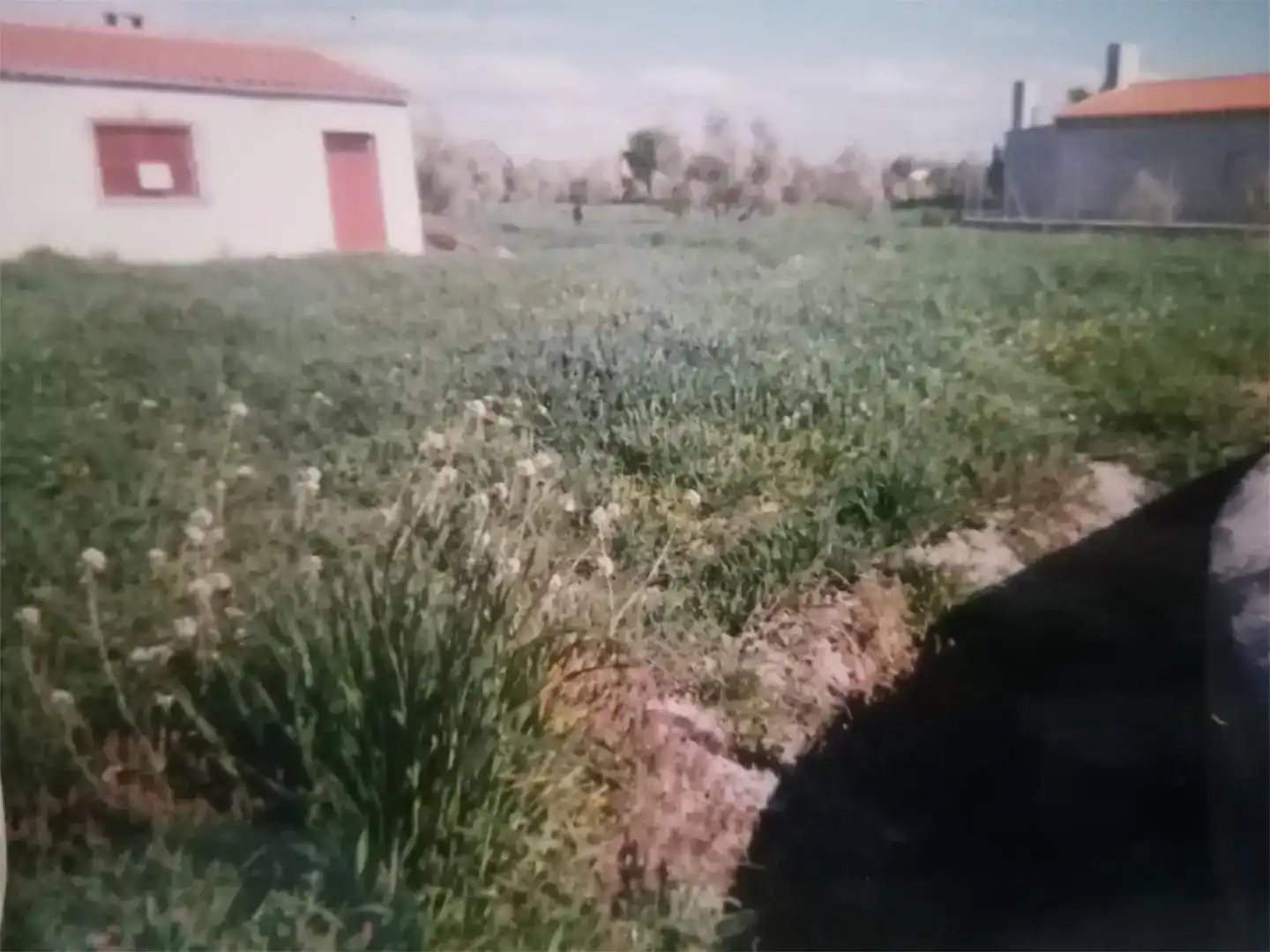 Pis en venda en Baza amb Jardí privat i Traster
