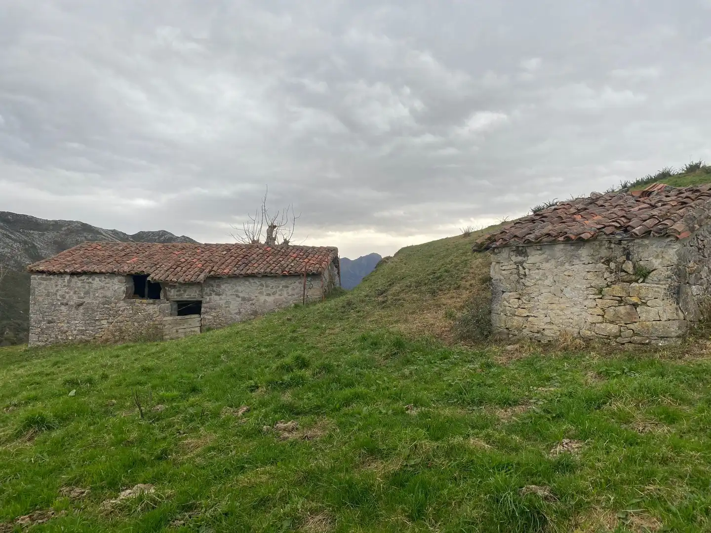 Terreno rustico in vendita a Següenco, imagen 22
