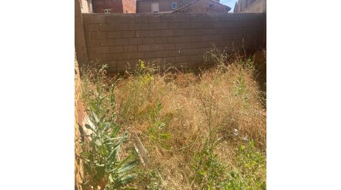 Foto 5 de Casa o chalet en venta en Sariegos, León