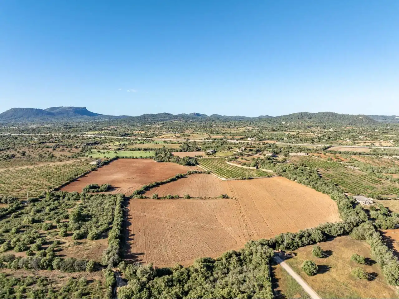 Terreno rustico in vendita a Llucmajor pueblo, imagen 118