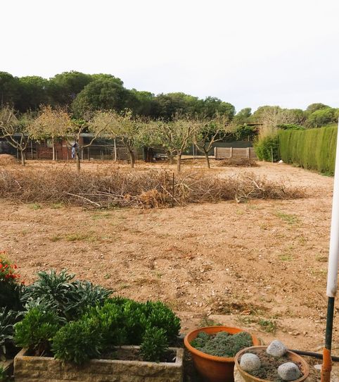 Foto 2 de Finca rústica en venta en Residencial Begur - Esclanyà, Begur