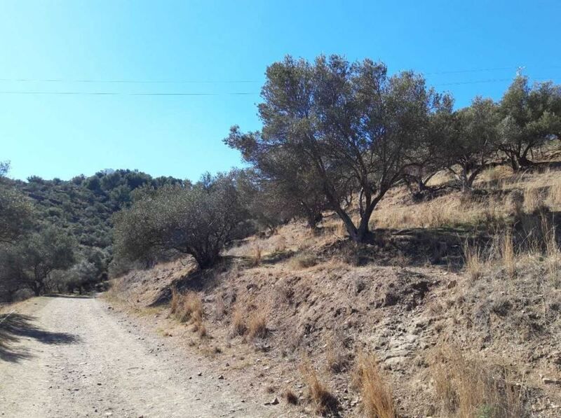 Residencial en venda a PAGO DE RIOSECO, Chaparil - Torrecilla - Punta Lara