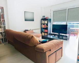 Sala d'estar de Pis en venda en Olot amb Aire condicionat i Piscina comunitària