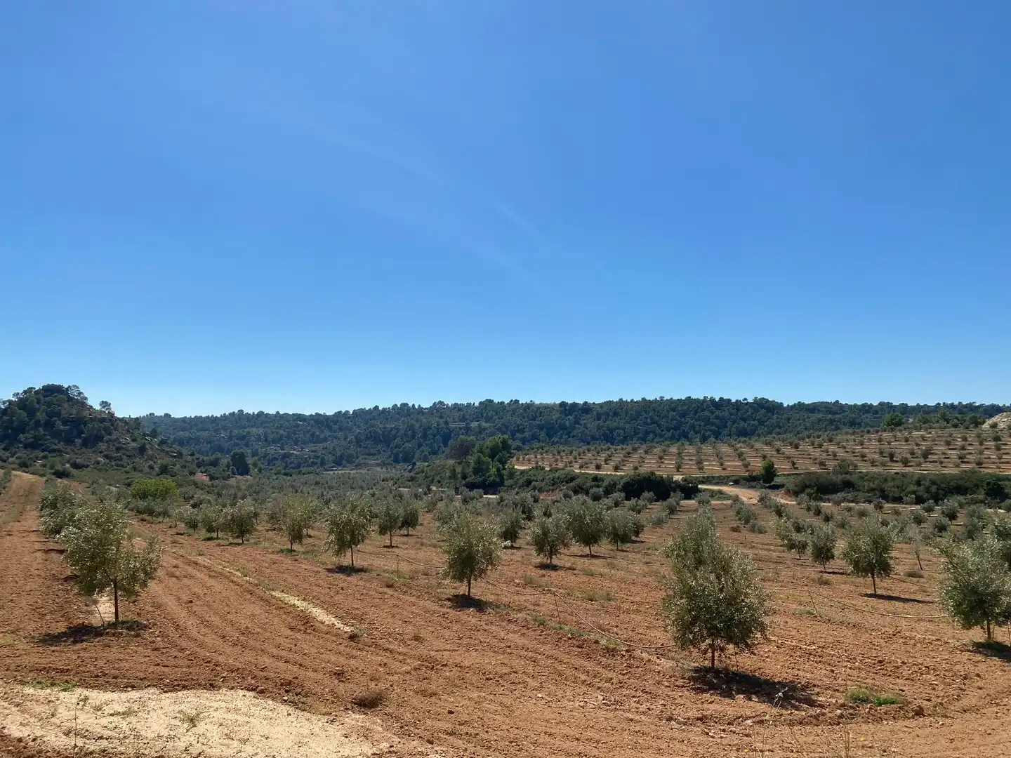 Casa o chalet en venta en Alcañiz con Terraza